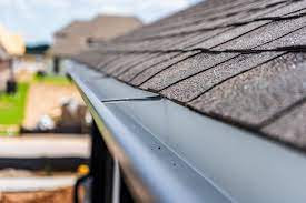 The Crucial Role of Professional Gutter Cleaning: Ensuring Your Home's Health and Integrity